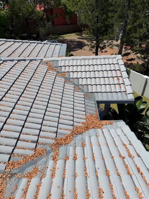 Roof debris clean up